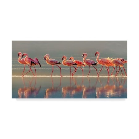 Phillip Chang 'Flamingo Walk' Canvas Art,24x47